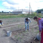Пропалываем дорожки