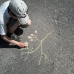 Лекарственные растения