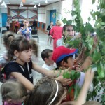 Обвиваем берёзу лентамиDSC04171